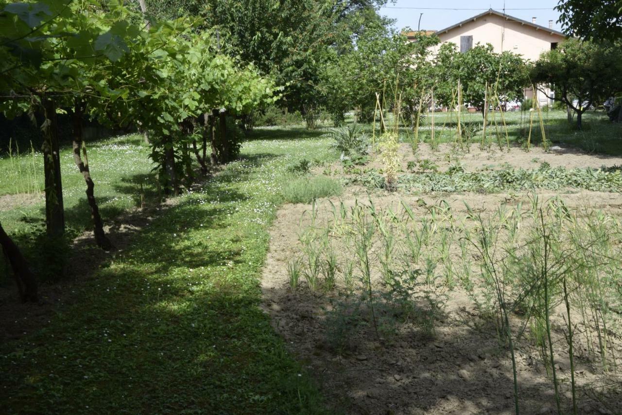 Capannone111 Bed & Breakfast Castiglione di Ravenna Exterior photo